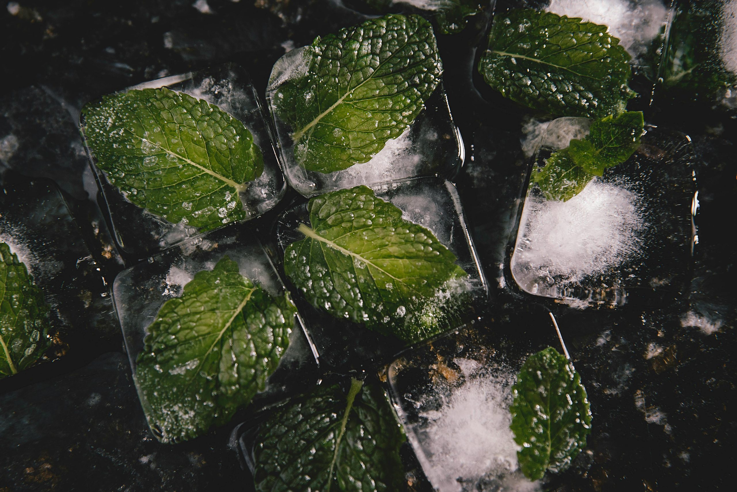 8. Freeze Leftover Herbs in Ice Cube Trays