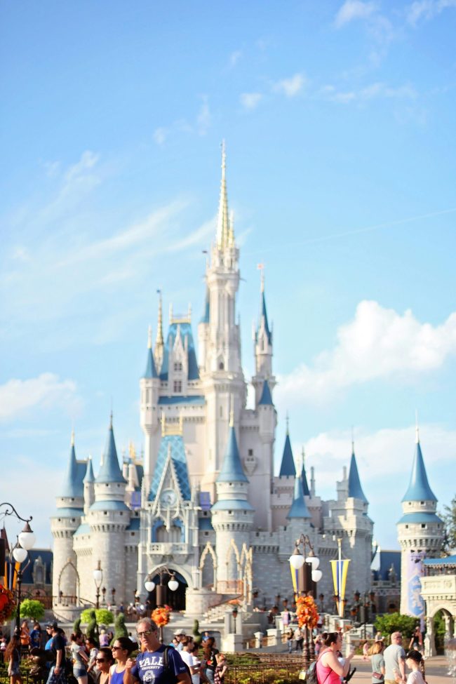 Big Savings Alert: 8 Theme Park Deals That Save You Hundreds in 2025