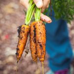 Cheap Organic Food: 10 Hacks to Make Healthy Eating Affordable