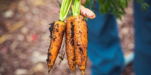 Cheap Organic Food: 10 Hacks to Make Healthy Eating Affordable