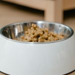 Affordable Healthy Dog Food: 8 Brands That Are Big on Nutrition, Small on Cost