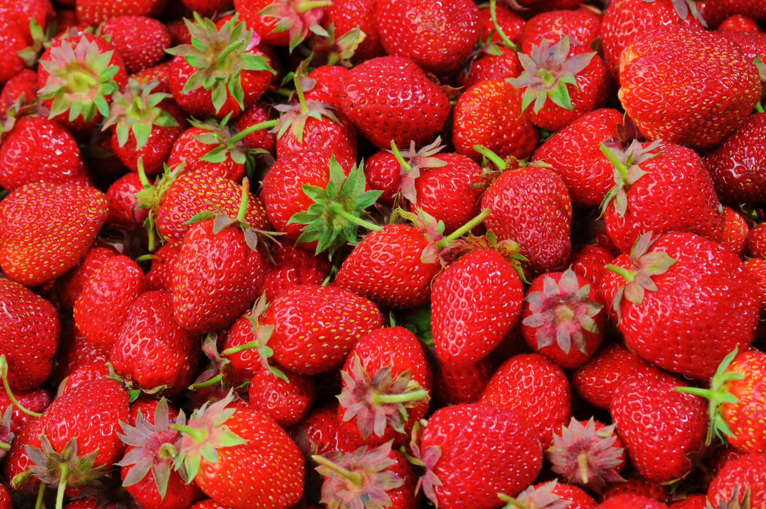 4. Choose Organic for the “Dirty Dozen”