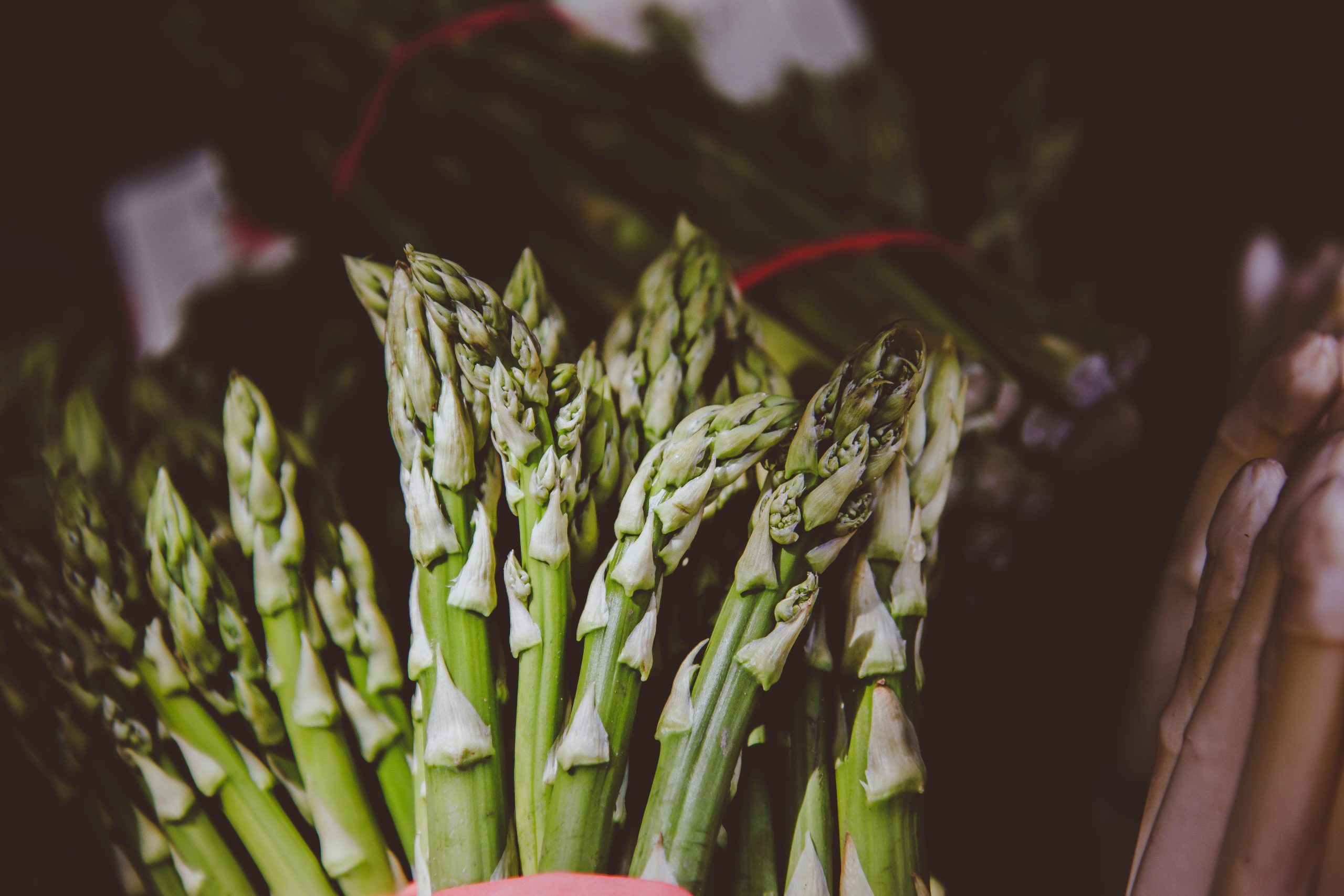 12 Foods That Always Go on Sale During the Spring