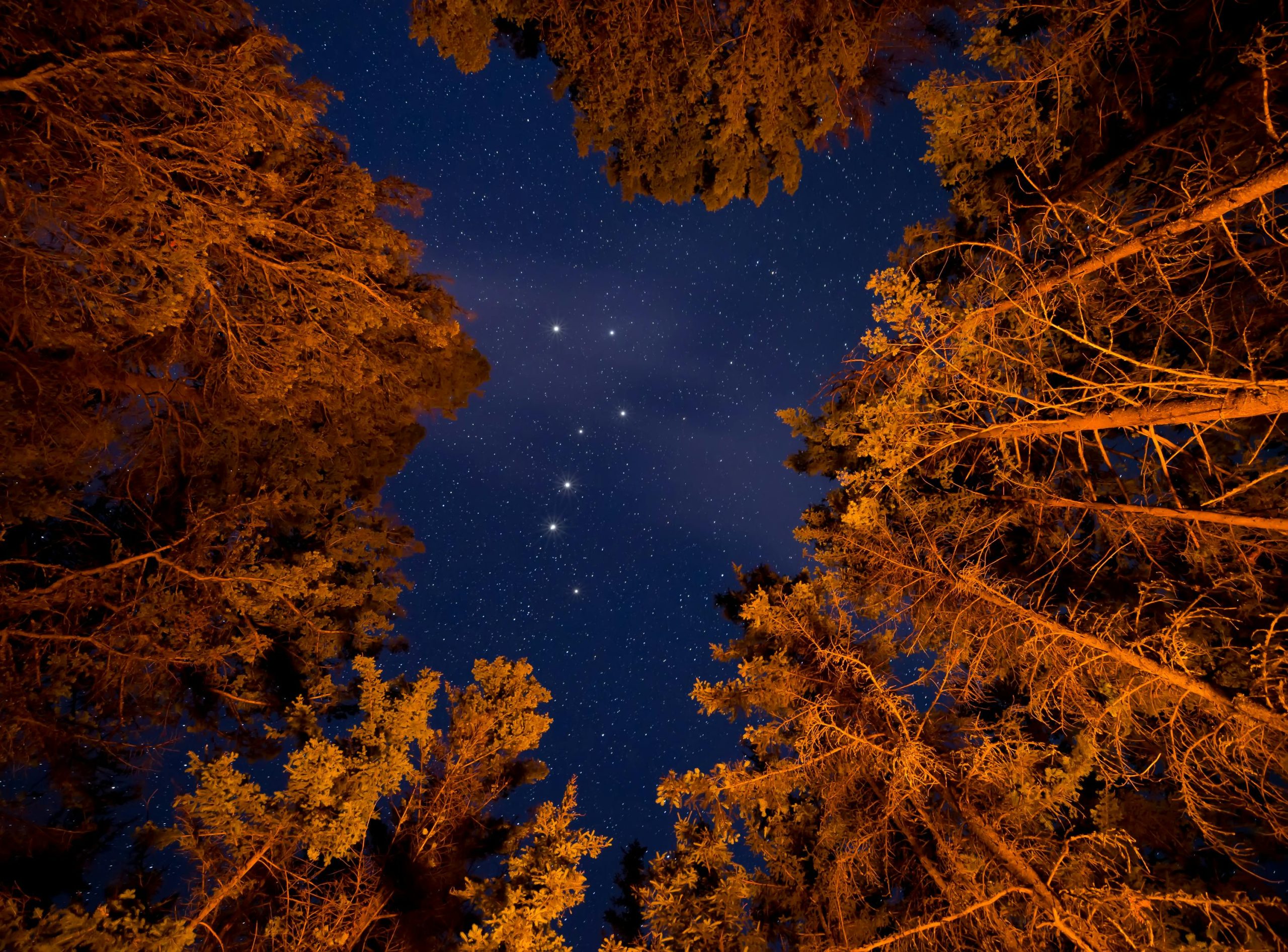10. Go Stargazing Together