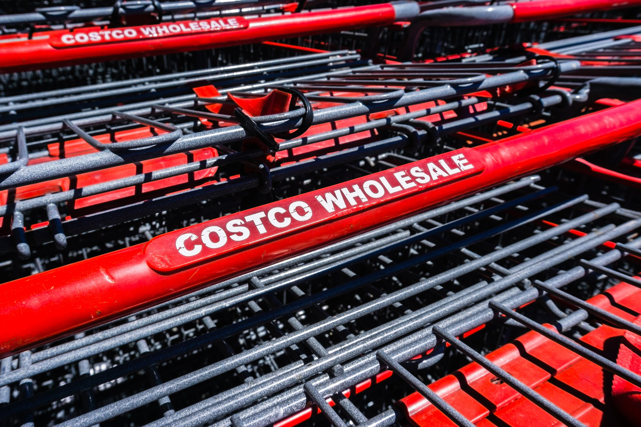 Costco carts