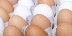 cheap eggs