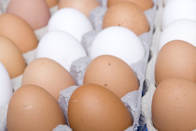 cheap eggs