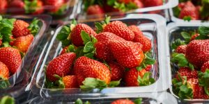 7 Grocery Store Brands That Secretly Have the Best Quality Products