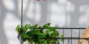 The Real Reason Grocery Prices Keep Going Up (And It’s Not Inflation)