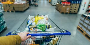 what you put in your cart