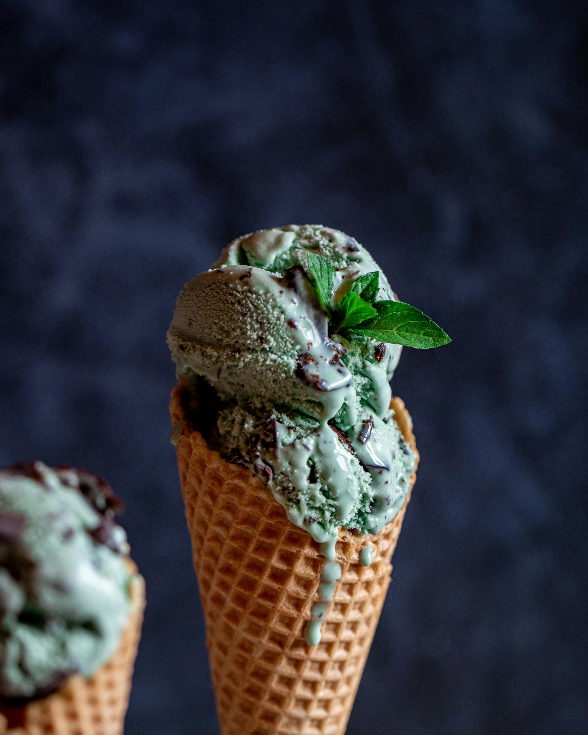 6. Wild Scoops (Anchorage, Alaska)