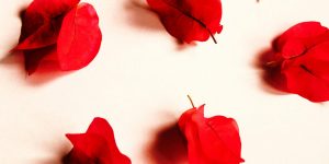 These 8 Colors and Smells Are Designed to Make You Spend More at the Store