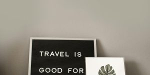 Travel Savings Apps: Helpful Tools or Data Mining Schemes?