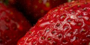 6 Dirty Tricks Grocery Stores Use to Fake Freshness