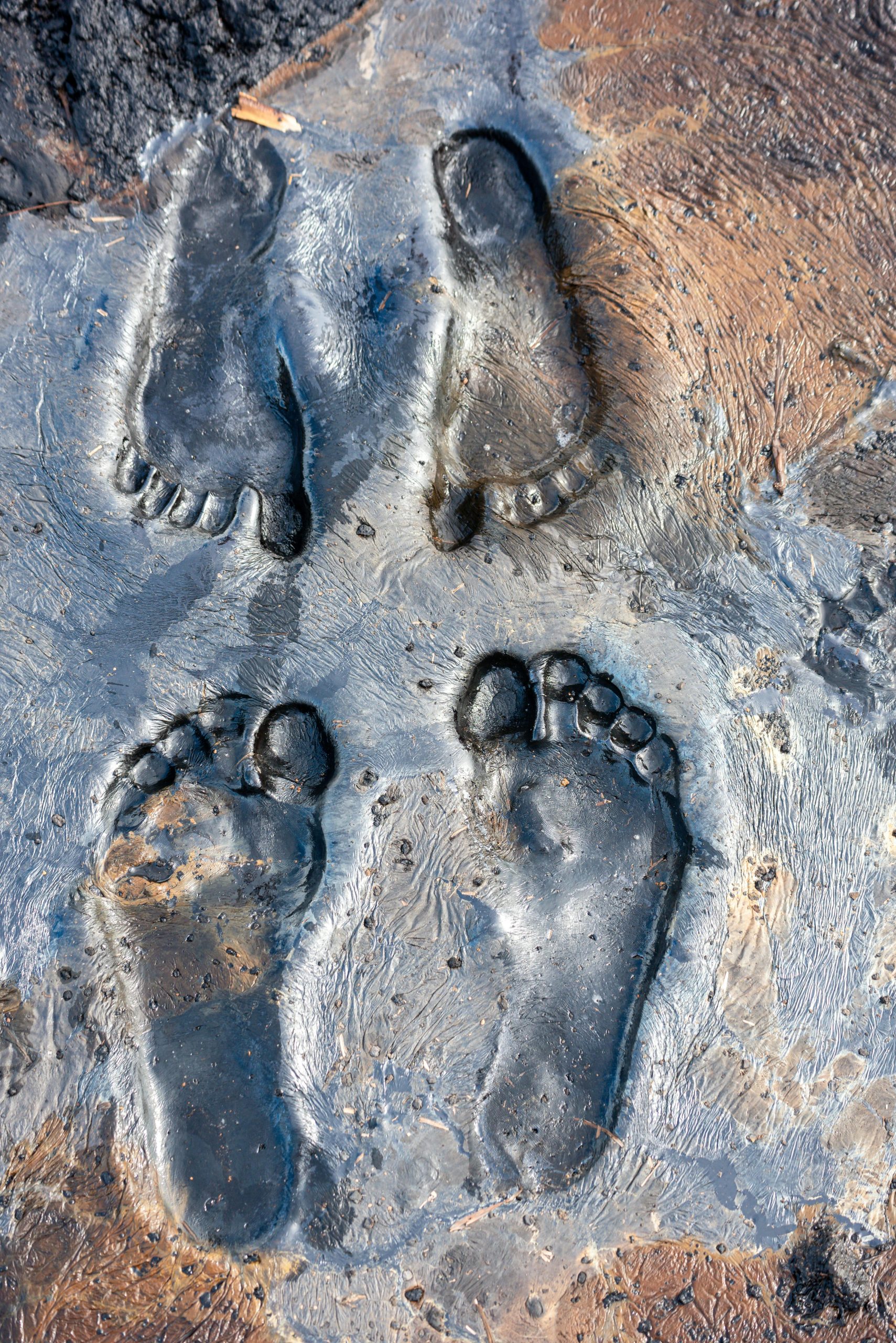 Environmental Footprint Concerns