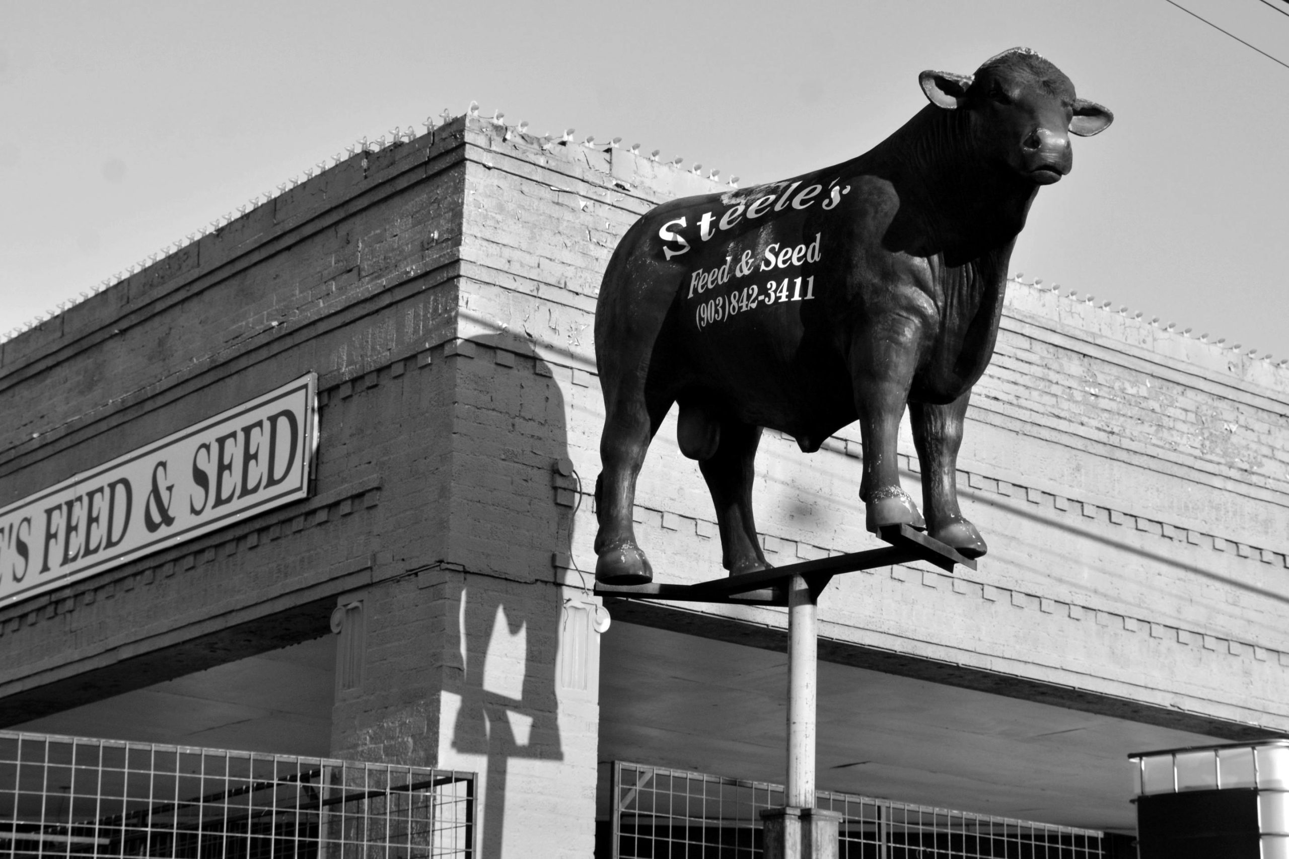 6. Feed and Seed Stores