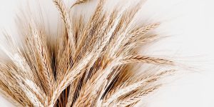 7 Great Brands For People That Can Only Eat Gluten Free Foods