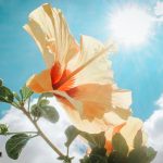 6 Reasons You Should Never Go Grocery Shopping When It's Sunny Outside