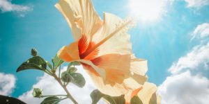 6 Reasons You Should Never Go Grocery Shopping When It's Sunny Outside