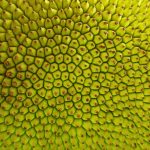 10 Exotic Foods That Are Hiding in Your Grocery Store Right Now