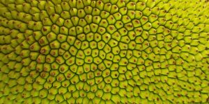 10 Exotic Foods That Are Hiding in Your Grocery Store Right Now