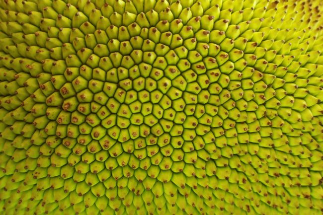 10 Exotic Foods That Are Hiding in Your Grocery Store Right Now