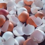 uses for eggshells