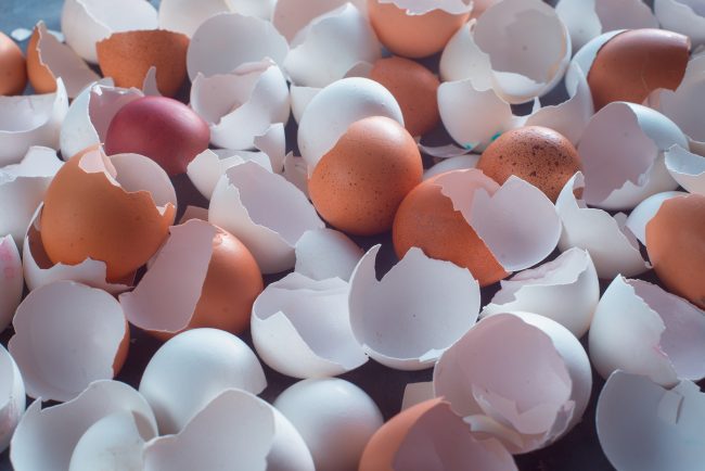 uses for eggshells