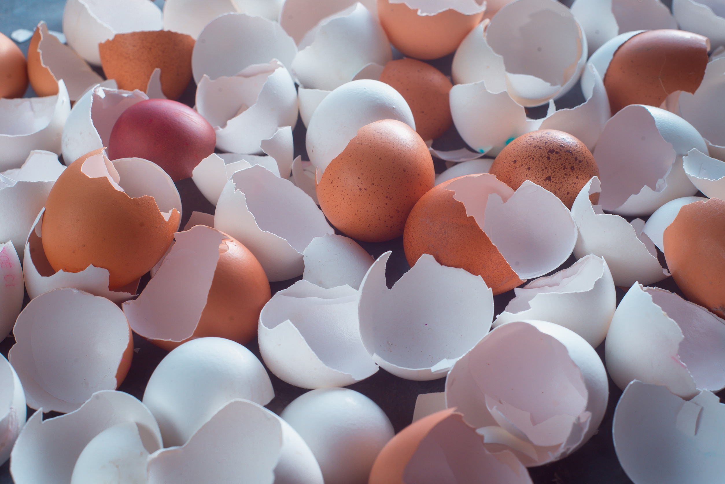 uses for eggshells