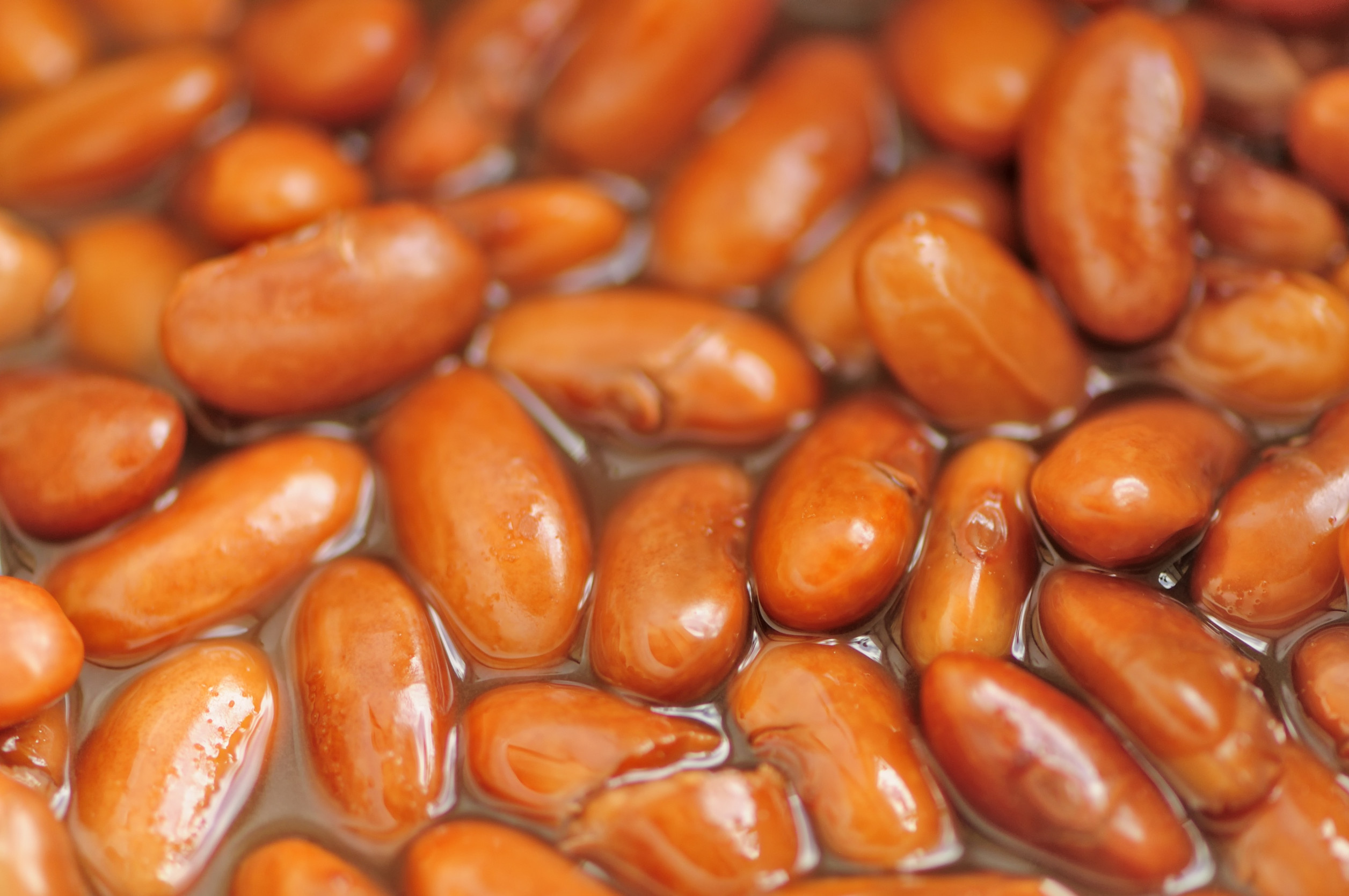 canned beans recall