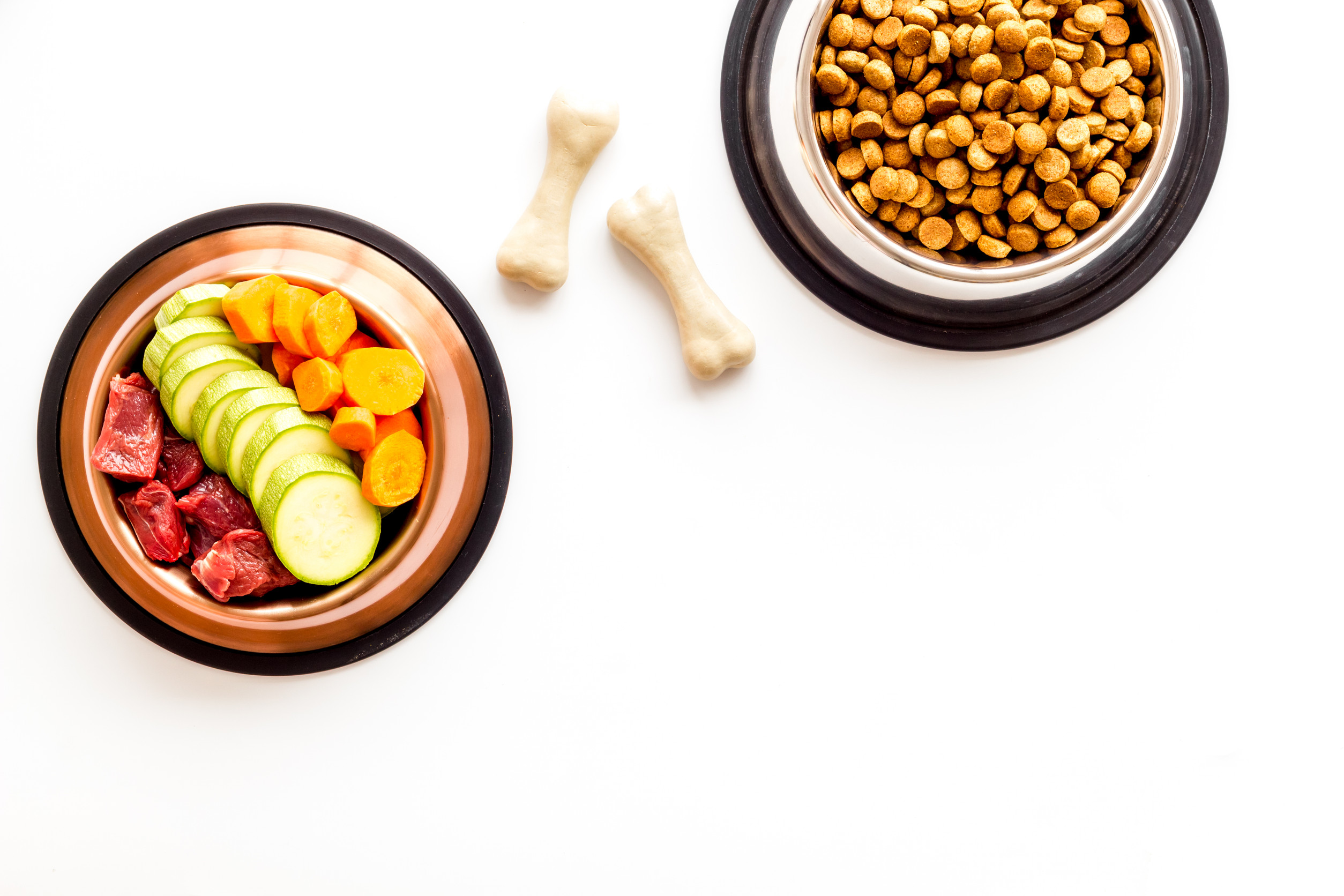 homemade dog food recipes