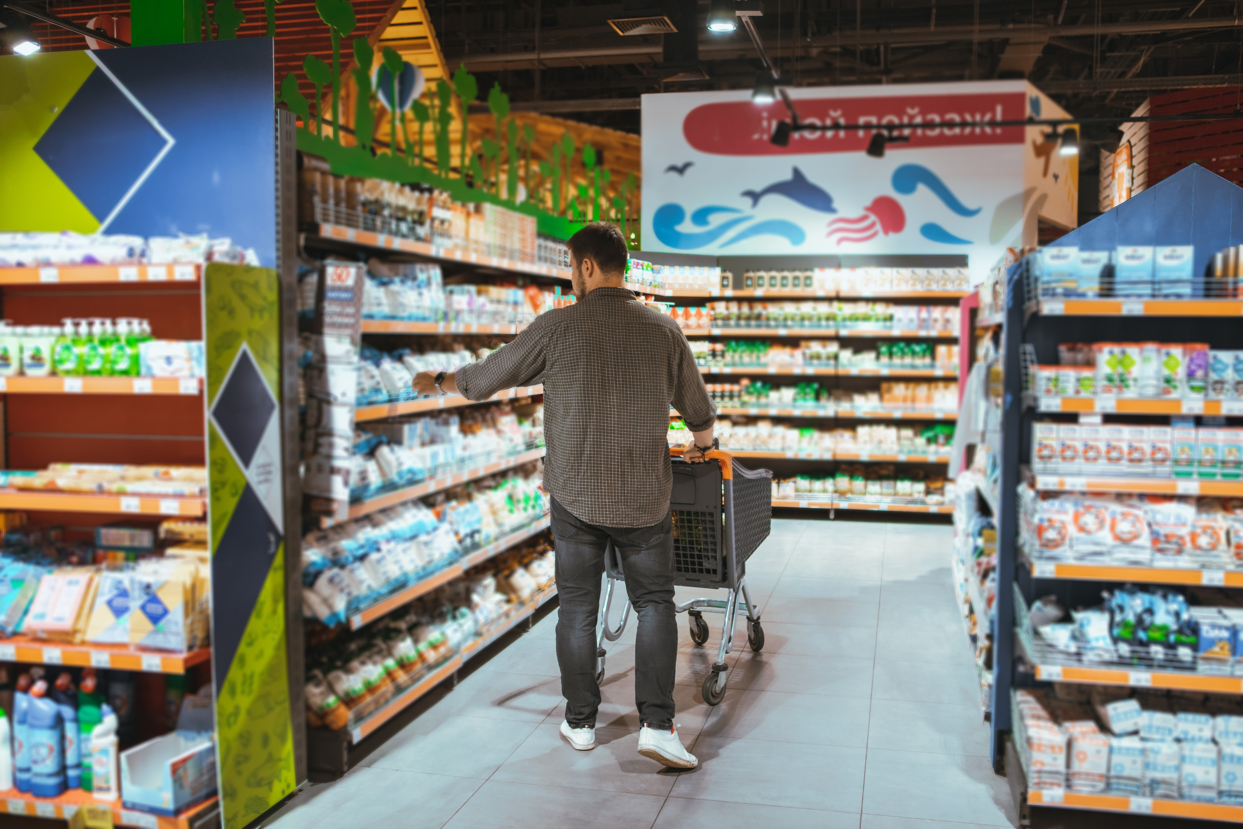 grocery shopping frequency