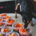 homemade dog food