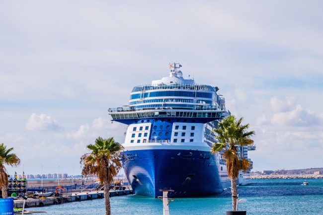 cruise mistakes