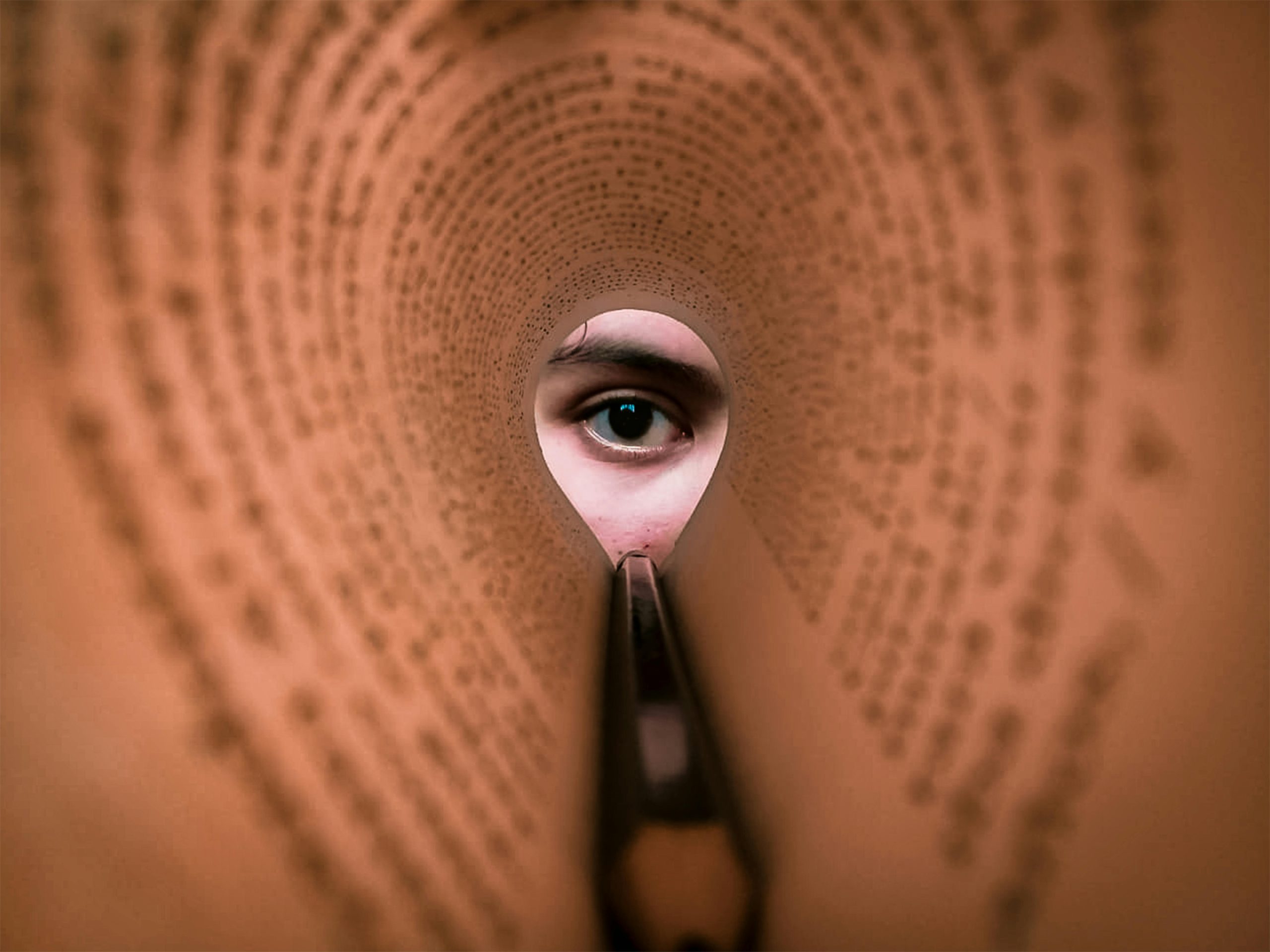 The Shadow Cost of Food Grocery: 12 Things Big Brands Hope You Never Learn