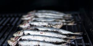 sardines