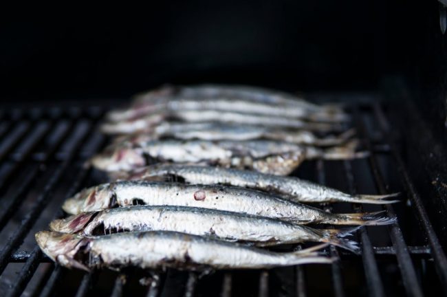 sardines