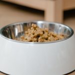 dog food