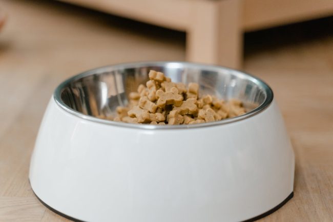 dog food