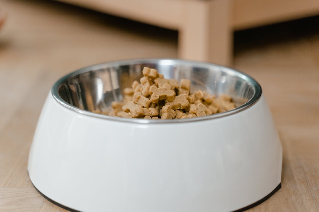 dog kibble