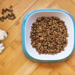 dog kibble