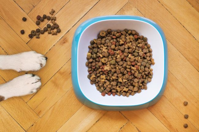 dog kibble