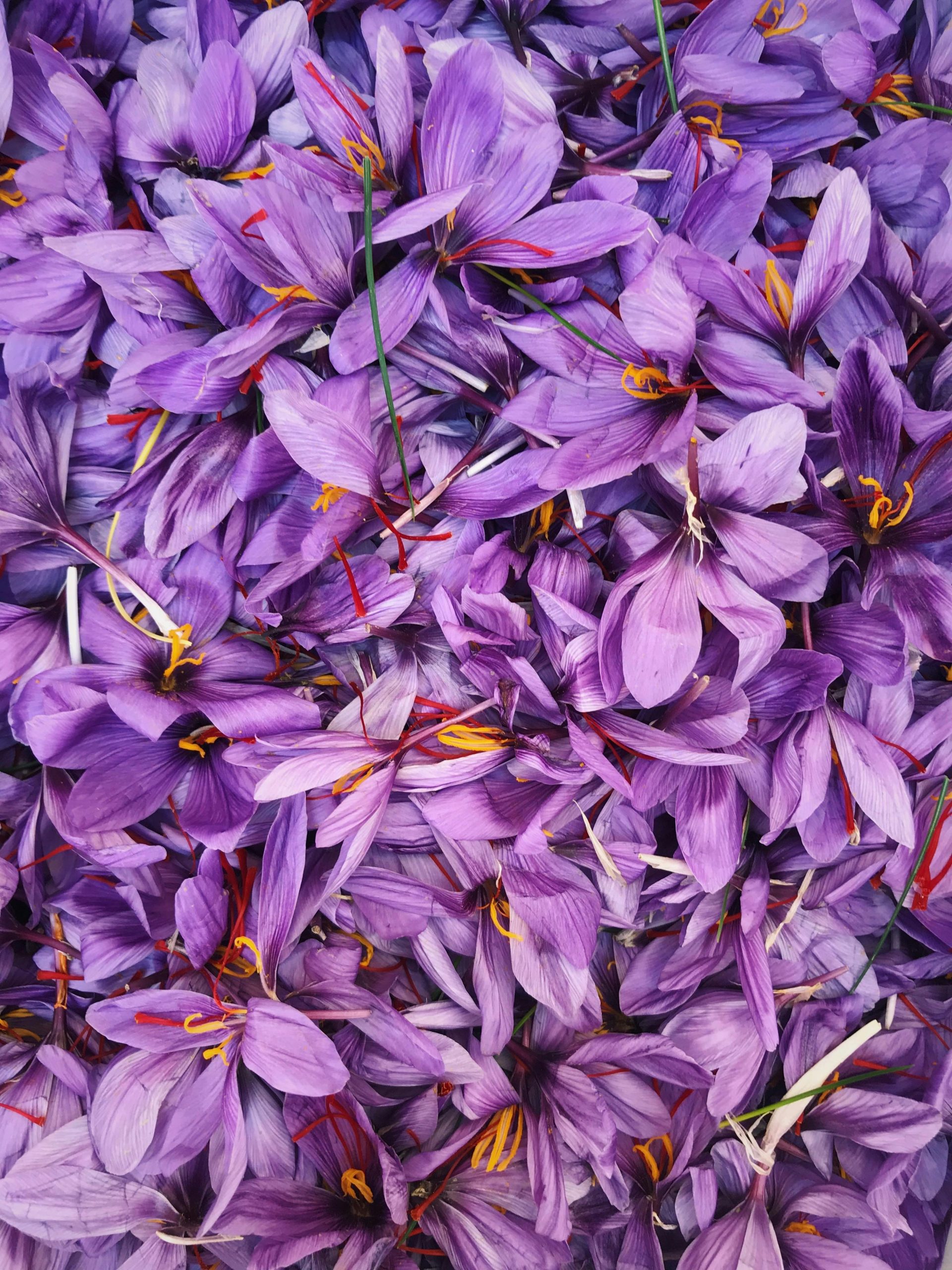 8. Saffron Threads