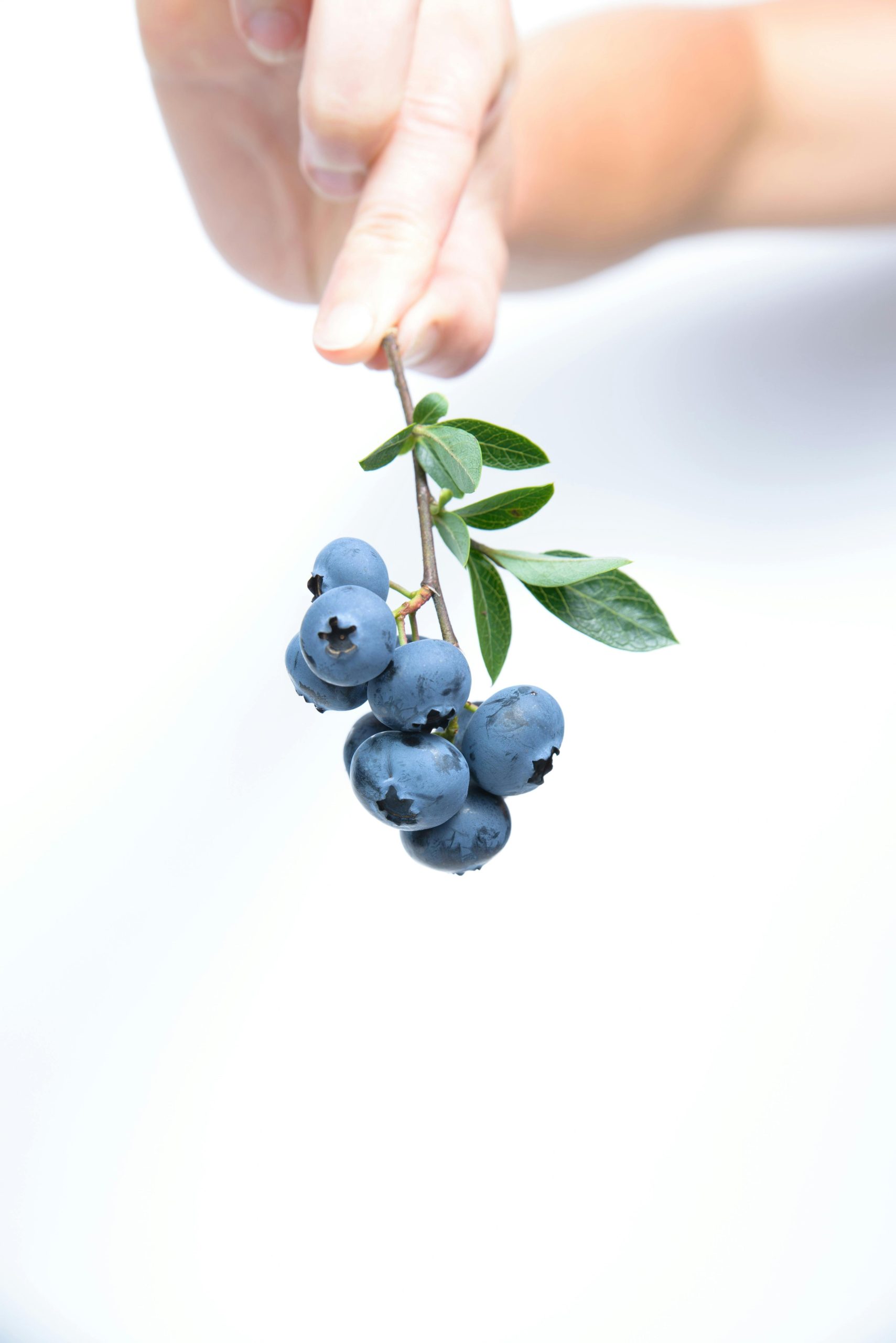 8. Certain Berries (Especially Off-Season)