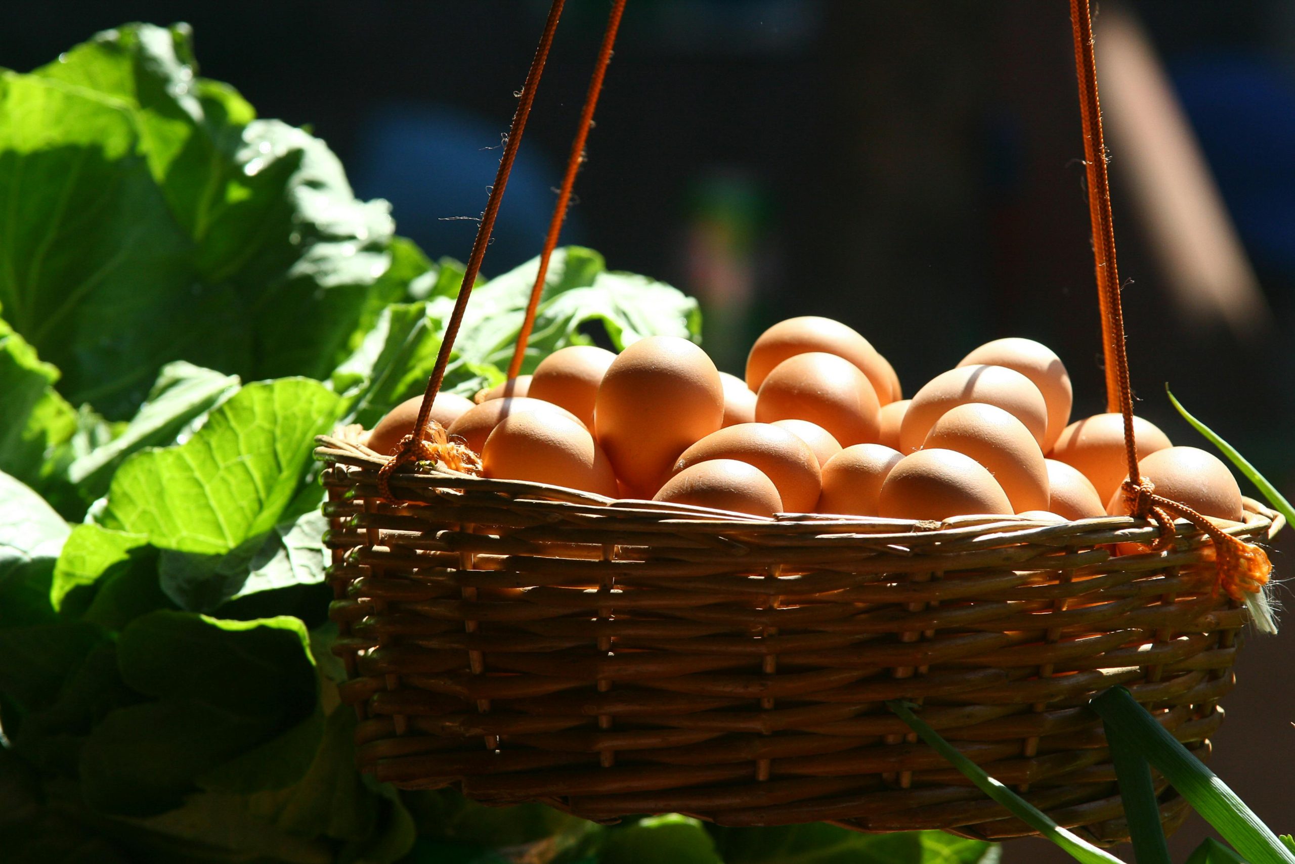 6 Grocery Items That Are More Expensive Than They Were During COVID