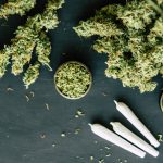 daily cannabis use