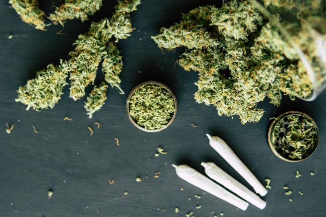daily cannabis use