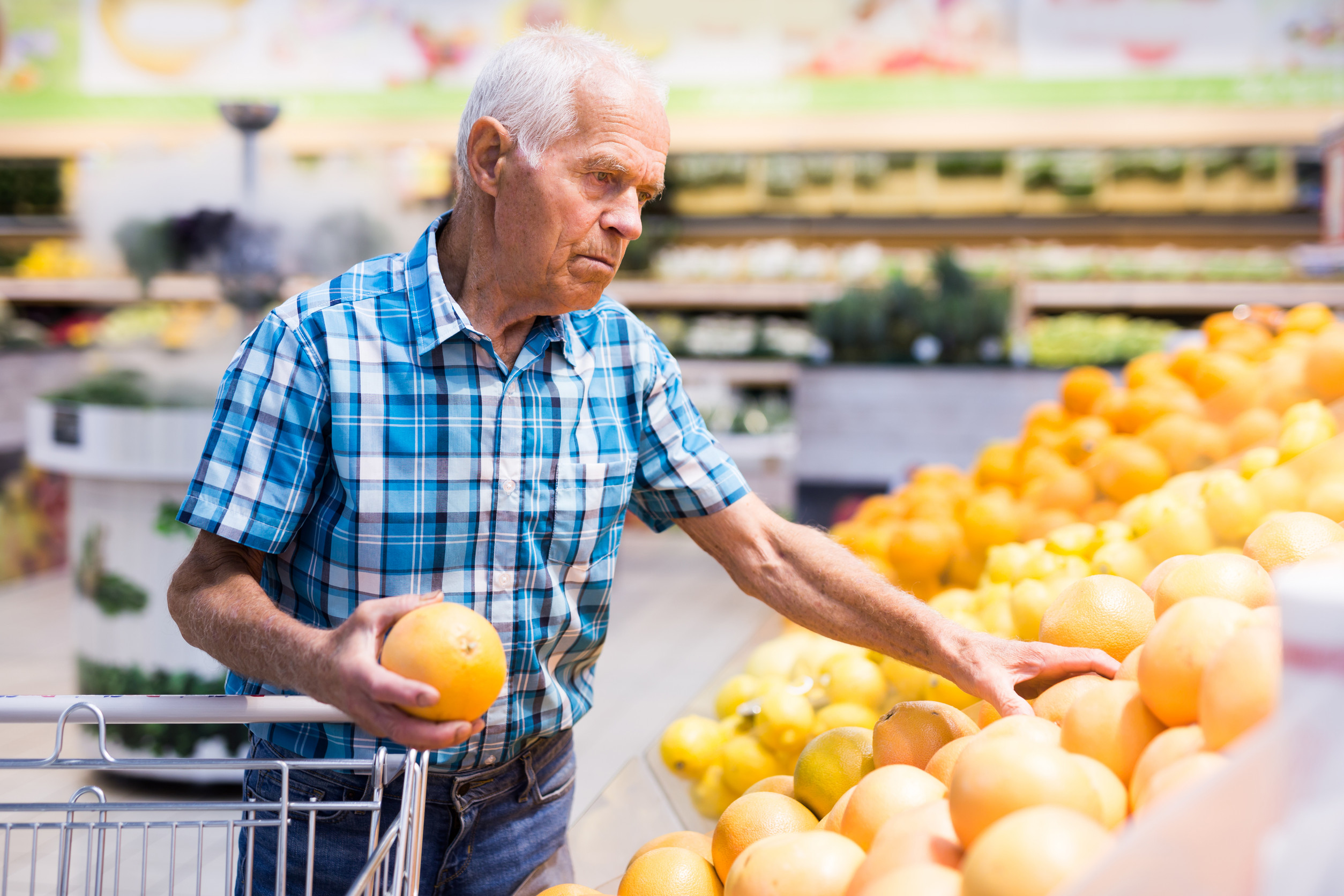grocery budget