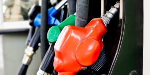Costco gas membership