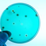 scary facts about listeria